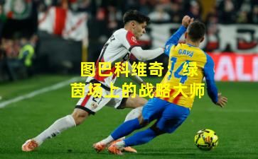 图巴科维奇：绿茵场上的战略大师