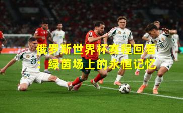 俄罗斯世界杯赛程回看：绿茵场上的永恒记忆