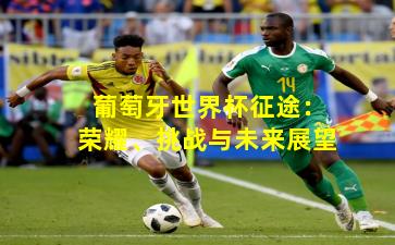 葡萄牙世界杯征途：荣耀、挑战与未来展望