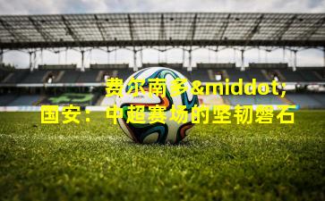 费尔南多·国安:中超赛场的坚韧磐石