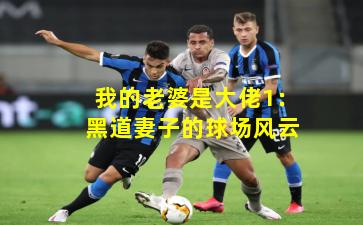 我的老婆是大佬1：黑道妻子的球场风云