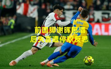 前国脚谢晖因酒后失言遭停职反思