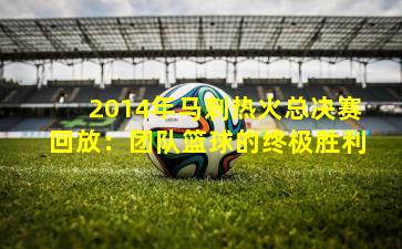 2014年马刺热火总决赛回放：团队篮球的终极胜利
